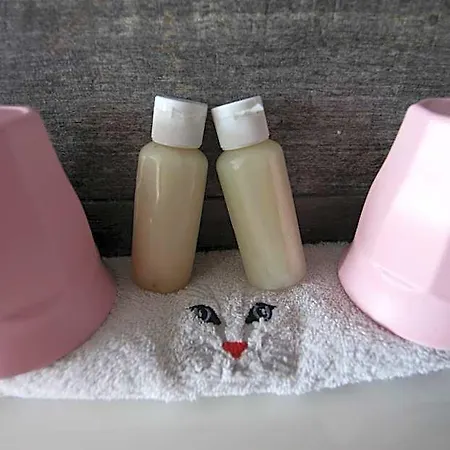 Le Botté77