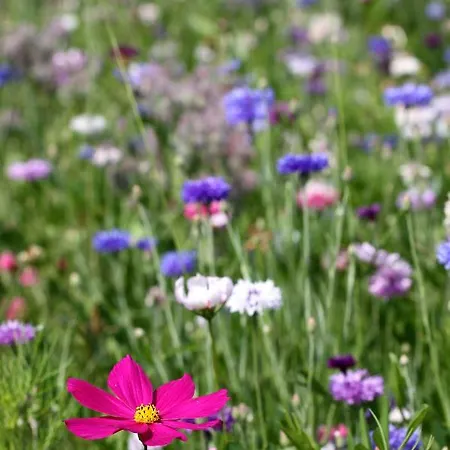 Le Botte77 Bed & Breakfast Jossigny